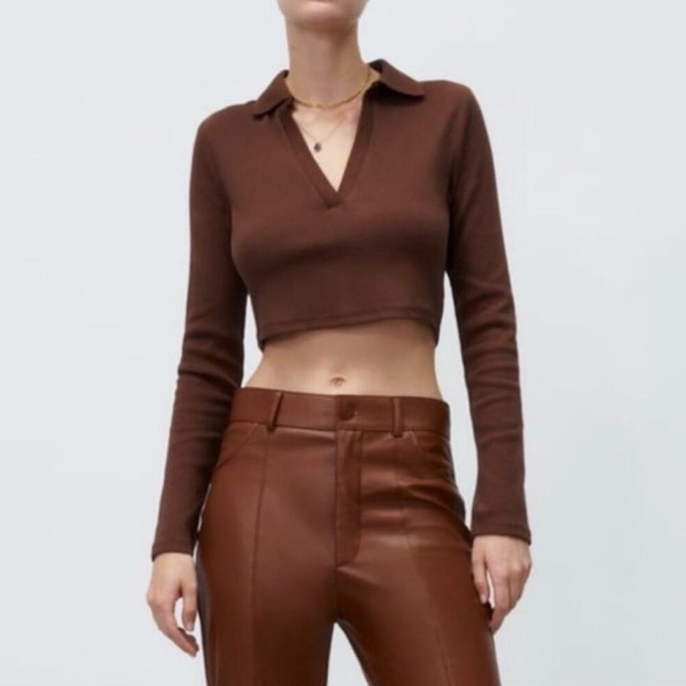 ZARA Brown Cropped Polo Long Sleeve Tee
